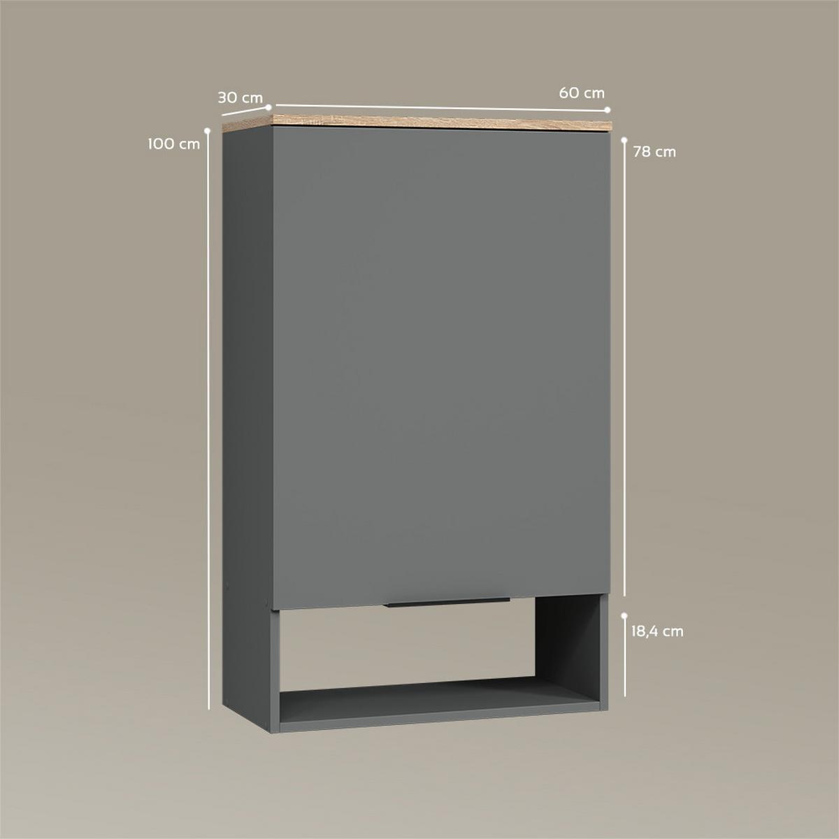HÄNGESCHRANK Piave Anthrazit 60 x 100 cm mit Tür - Anthrazit, Holzwerkstoff (60/100/30cm) - Livinity®