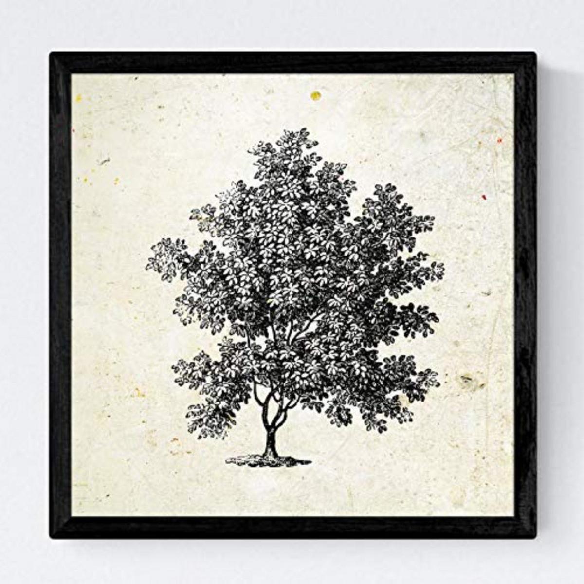 POSTER Set mit 4 Blättern der Bäume ohne und mit Blatt, 20x20cm Schwarzer Rahmen - Schwarz, Papier (20/3cm) - Nacnic