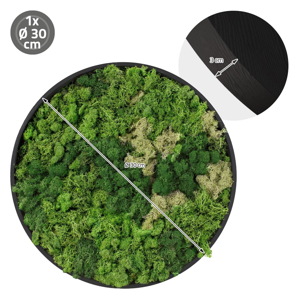 MOOSBILD Rund Ø 30 cm Mooswand Indoor mit Echtem Islandmoos und Holzrahmen Grün Pflegefrei - Salbeigrün, Naturmaterialien (30/30/3cm) - ECD-Germany