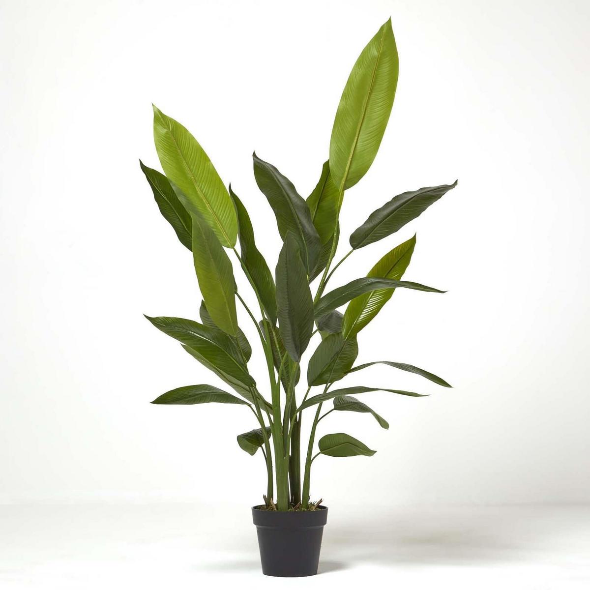 KUNSTPFLANZE Heliconia, 140 cm - Grün, Kunststoff (140cm) - Homescapes