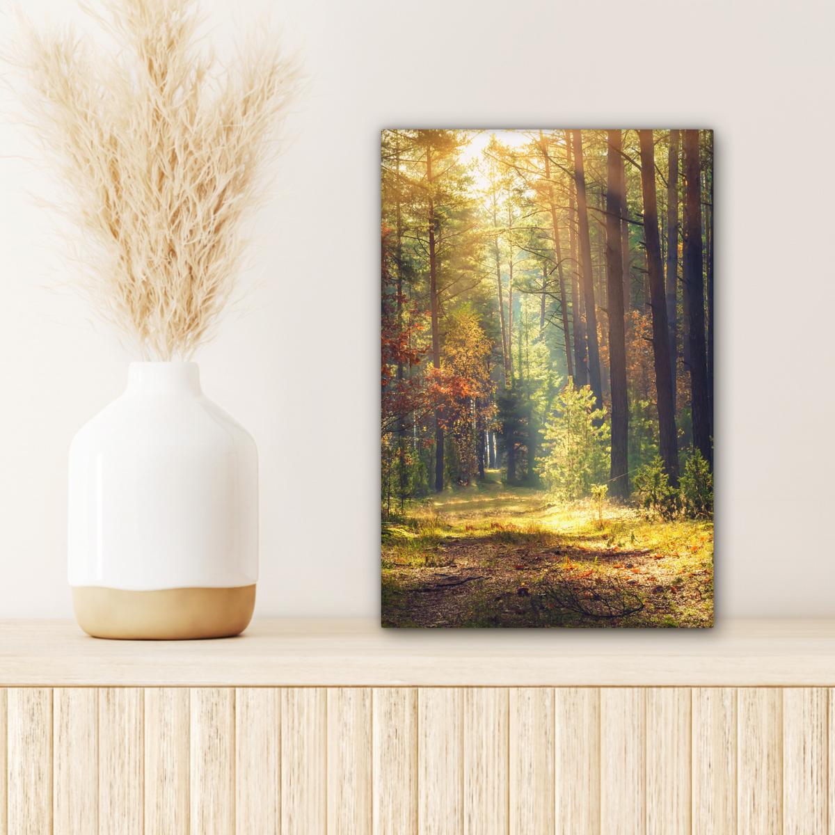LEINWANDBILD Wald - Herbst - Bäume Deko Wohnzimmer 20x30 cm - Dunkelgrün, Textil (20/30cm) - MuchoWow