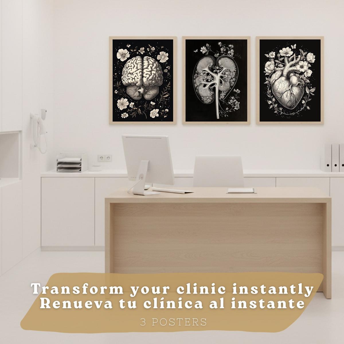 POSTER Set aus 3 Anatomie Mensch Drucke und mit Niere Harnsystem Gehirn und Herz Klassisches Schwarz Weiß Design Größe Leichter Holzrahmen A4 - Beige, Papier (21/29.7/3cm) - Nacnic