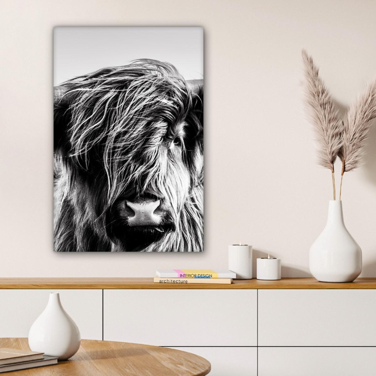 LEINWANDBILD Kuh - Schottischer Hochländer - Schwarz - Weiß - Tier - Natur - Wildtiere Wanddeko 40x60 cm - Schwarz, Textil (40/60cm) - MuchoWow