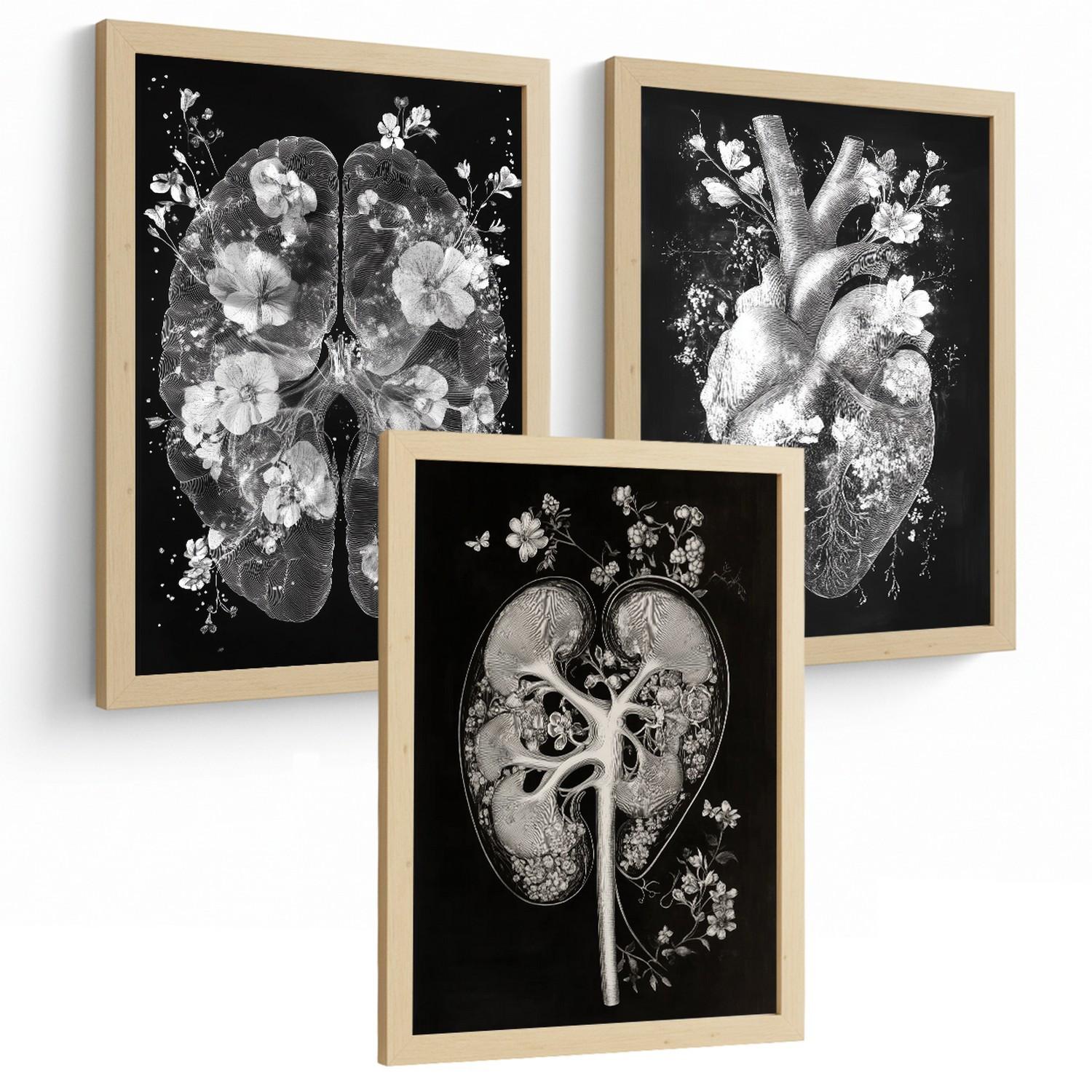 POSTER Set aus 3 Anatomie Drucke und mit Inneren Organen Gehirn Herz Nieren Minimalistisches Schwarz Weiß Design Größe Leichter Holzrahmen A4 - Beige, Papier (21/29.7/3cm) - Nacnic