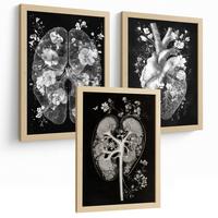 POSTER Set aus 3 Anatomie Drucke und mit Inneren Organen Gehirn Herz Nieren Minimalistisches Schwarz Weiß Design Größe Leichter Holzrahmen A4 - Beige, Papier (21/29.7/3cm) - Nacnic