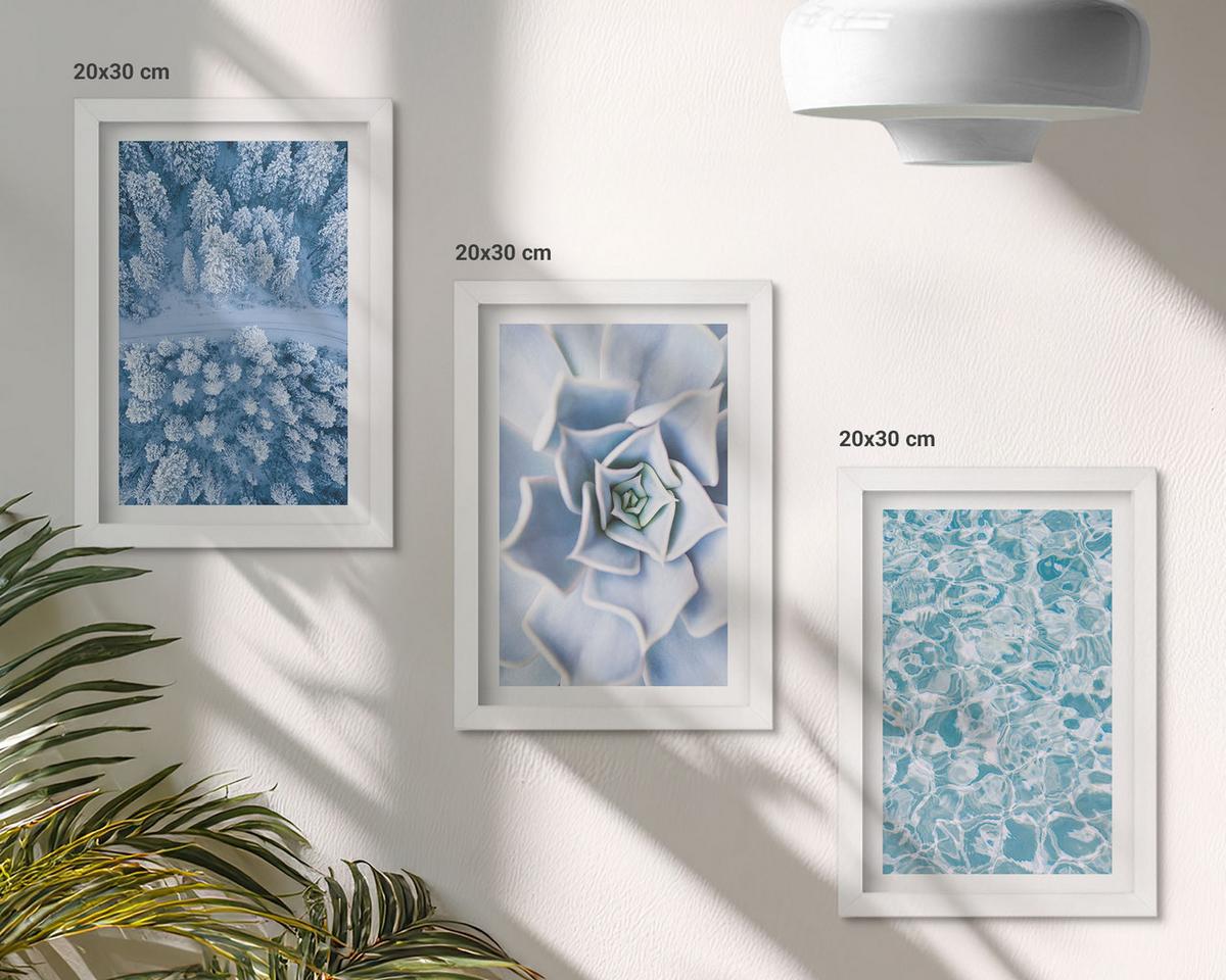 BILDER SET 3er Set - 20x30 cm Weißer Rahmen - Winterwald blaue Blume Wasser - Weiß, Kunststoff (20/30cm) - TULUP