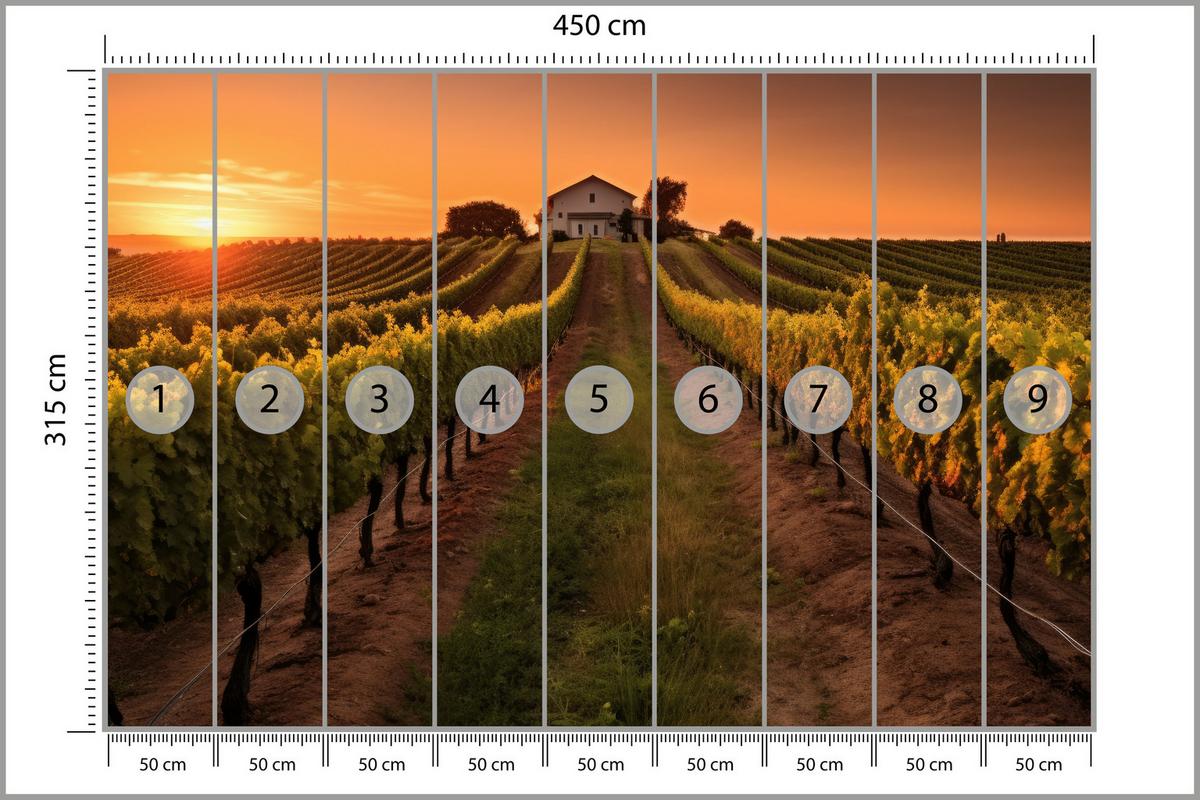 FOTOTAPETE für Esszimmer Weinberg Sonnenuntergang Obstgarten 450x315 - Gelb/Beige, Papier (450/315cm) - Muralo