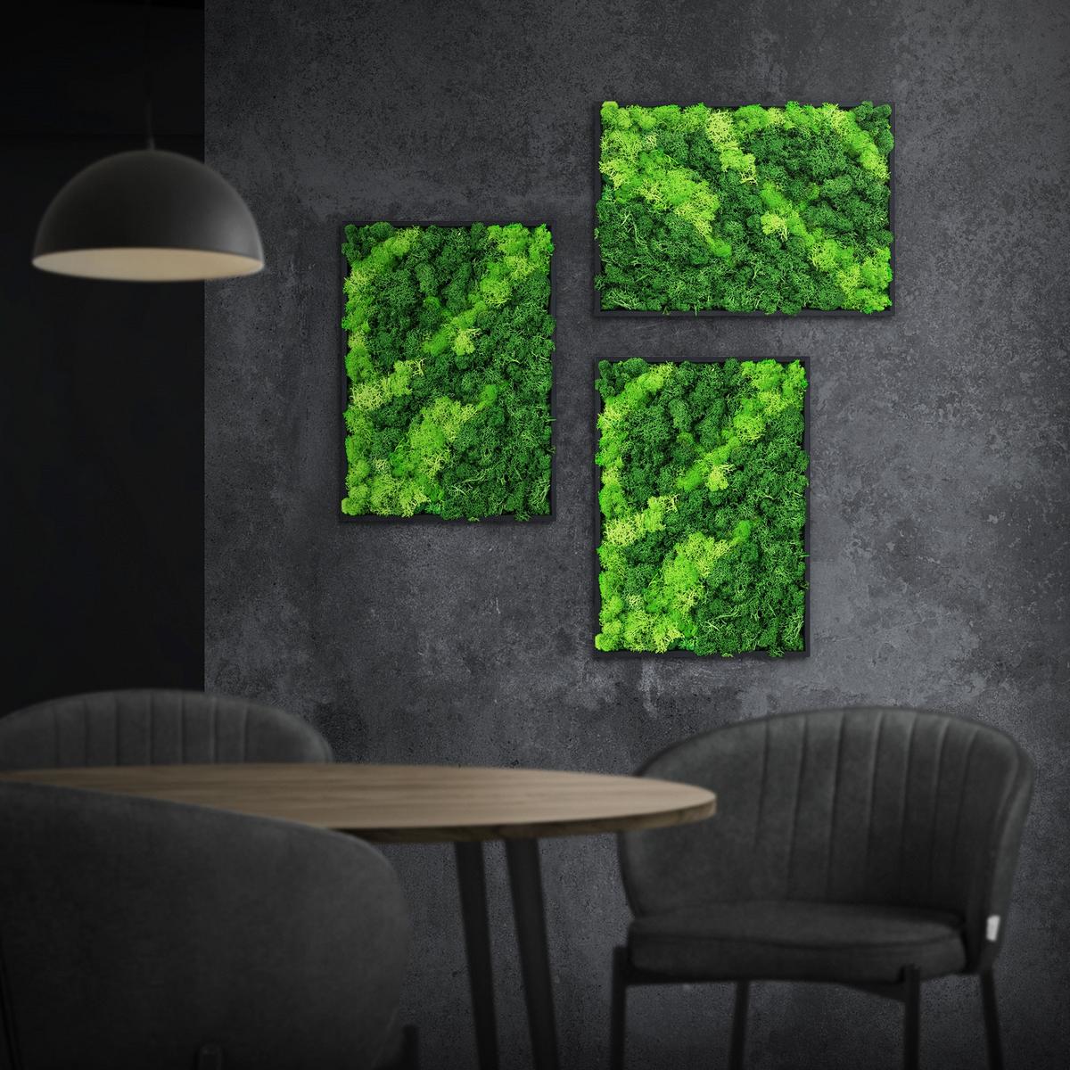 MOOSBILD Rechteck 38 x 27 cm Mooswand Indoor mit Echtem Islandmoos und Holzrahmen Grün Pflegefrei - Hellgrün, Naturmaterialien (27/38/3.5cm) - ECD-Germany