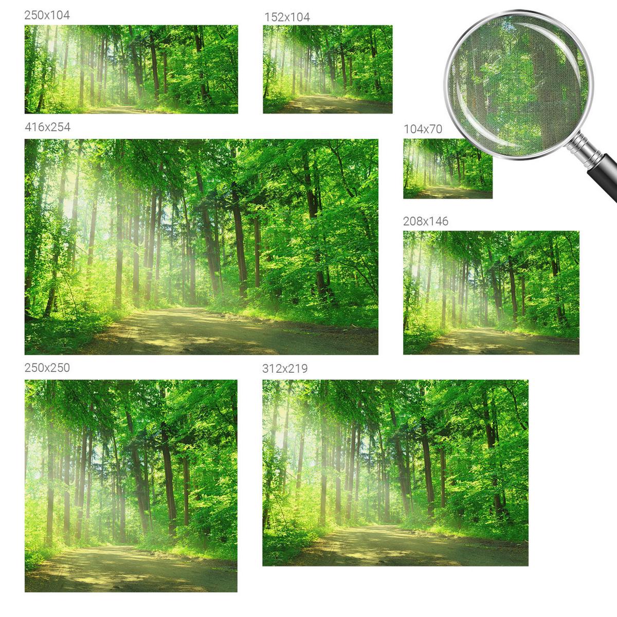 FOTOTAPETE 152x104 cm - Waldweg - Grün, Textil (152/104cm) - Wallfluent