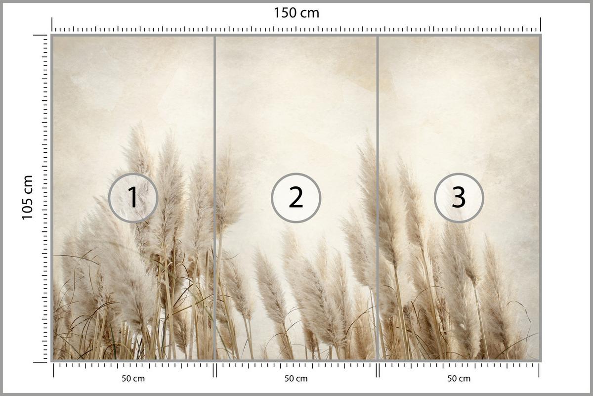 FOTOTAPETE für Schlafzimmer Boho Pampasgras Beton Pflanzen Vintage 150x105 - Beige/Braun, Papier (150/105cm) - Muralo