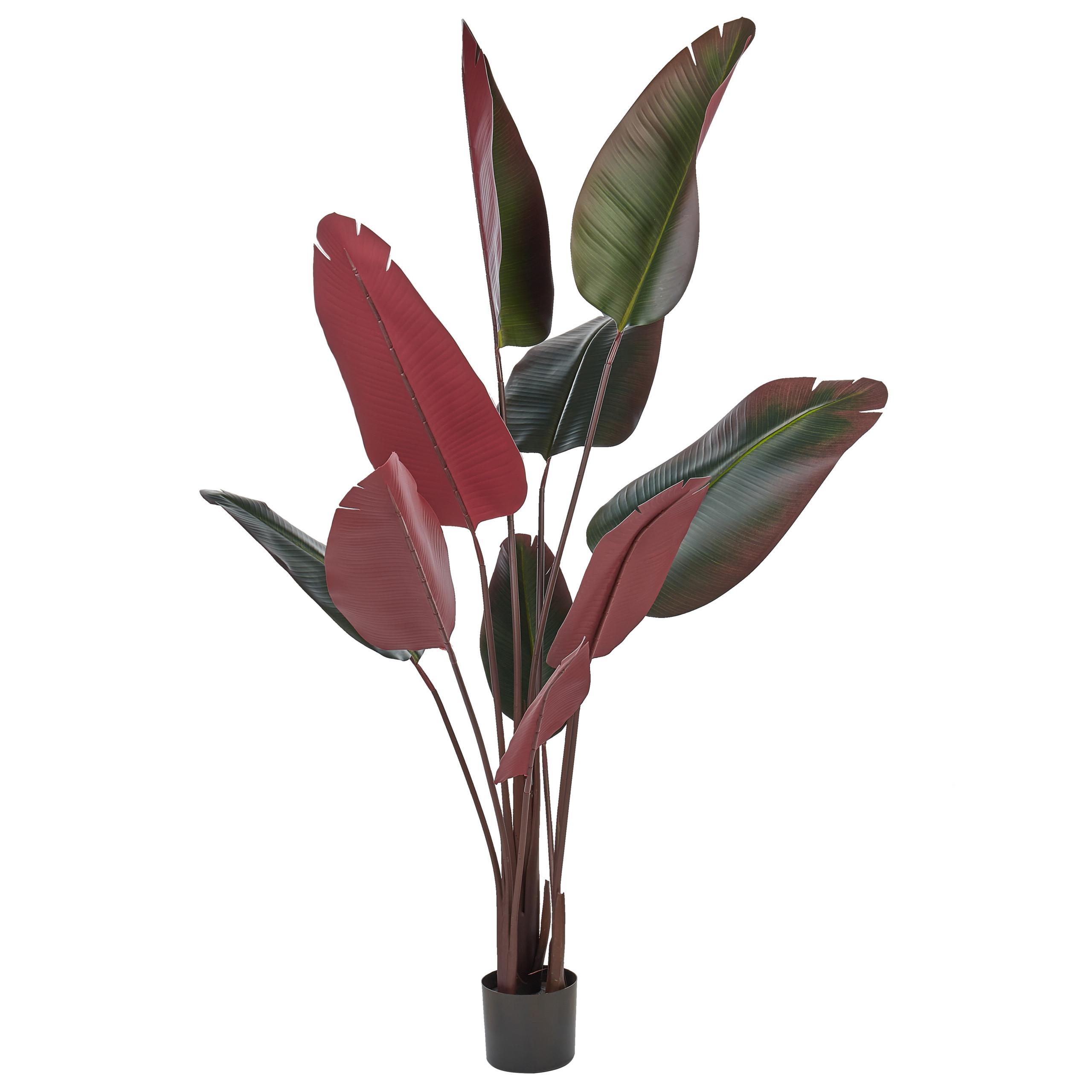 KUNSTPFLANZE im Blumentopf 163 cm Grün Banana Tree - Rot/Schwarz, Kunststoff (163cm) - Beliani