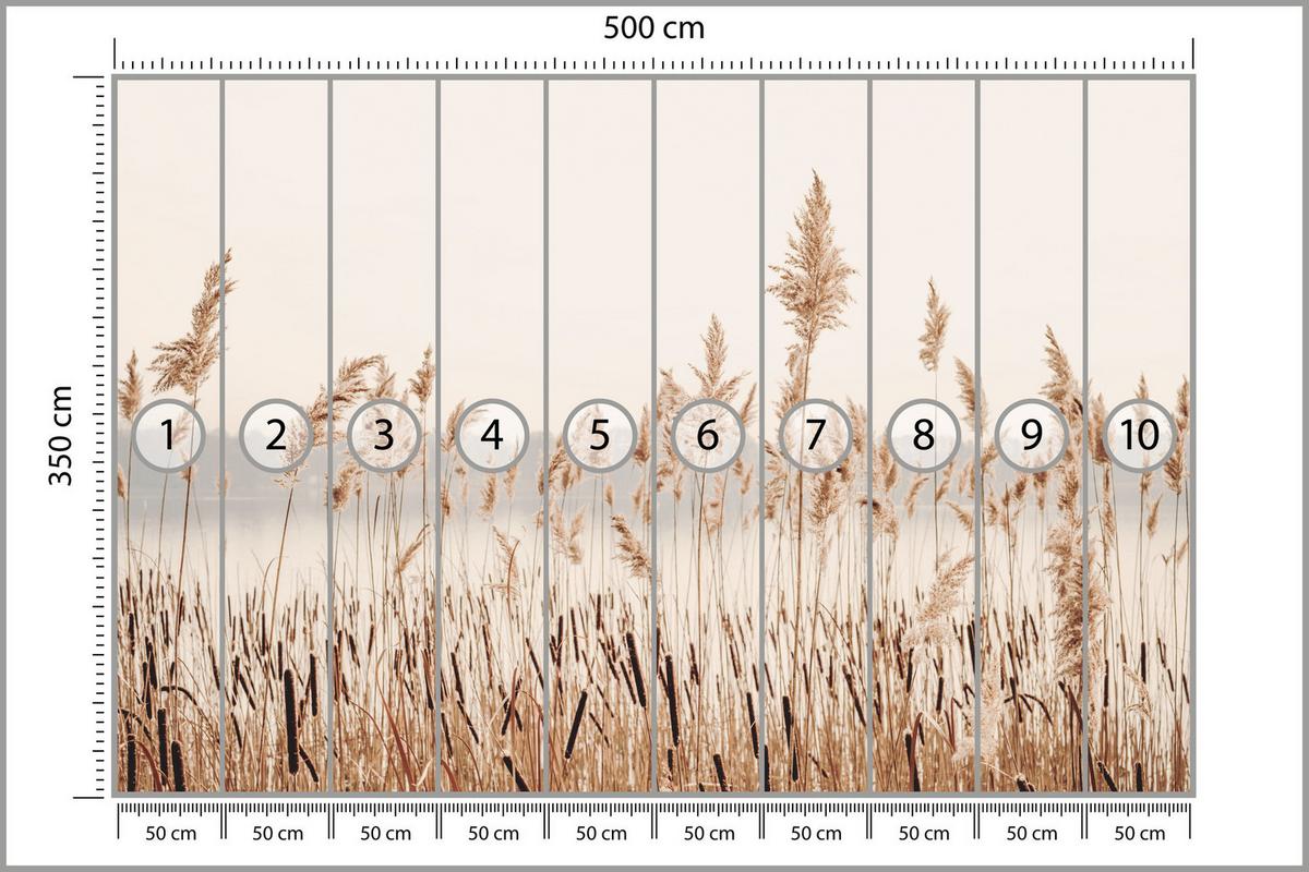 FOTOTAPETE für Wohnzimmer Pflanzen Natur 500x350 - Beige/Braun, Papier (500/350cm) - Muralo
