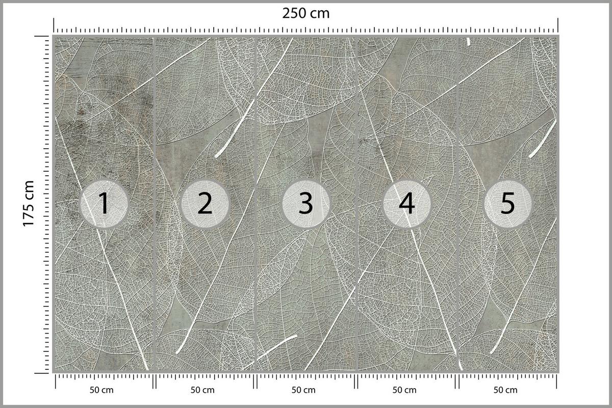 FOTOTAPETE für Schlafzimmer Weiße Blätter auf Beton 250x175 - Weiß/Grau, Papier (250/175cm) - Muralo
