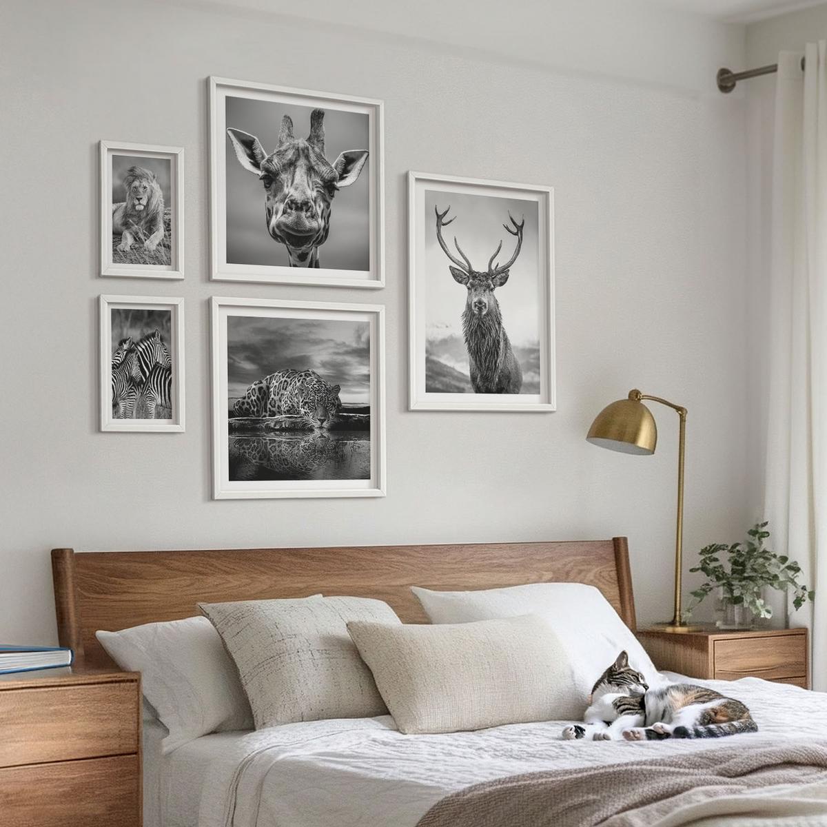 BILDER SET 5er Set - 50x50 cm & 20x30 cm & 40x60 cm Weißer Rahmen - Wildtiere Löwe Jaguar Giraffe Zebras - Weiß, Kunststoff (40/60cm) - TULUP