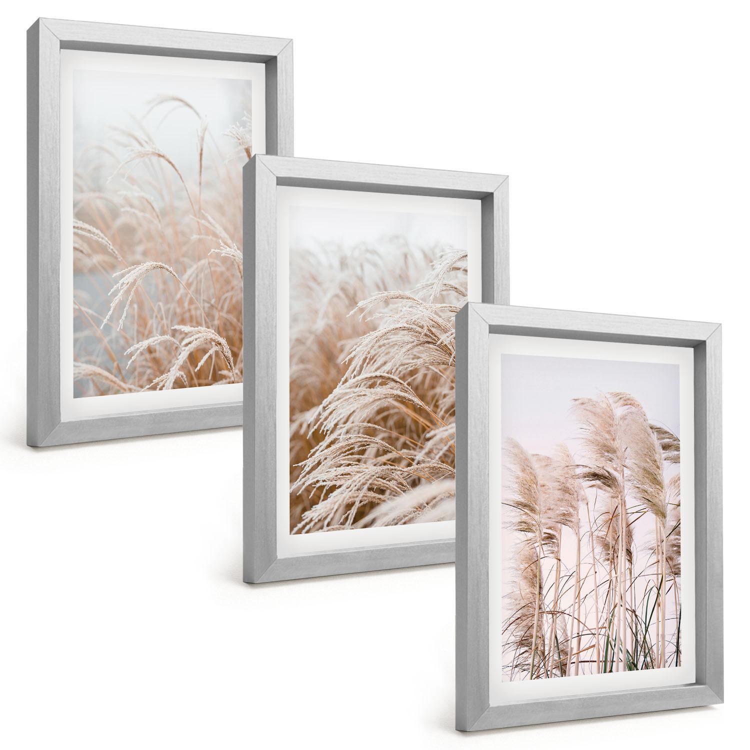 BILDER SET 3er Set - 20x30 cm Silberner Rahmen - Grasflächen in Braun- und Beigetönen - Silberfarben, Kunststoff (20/30cm) - TULUP