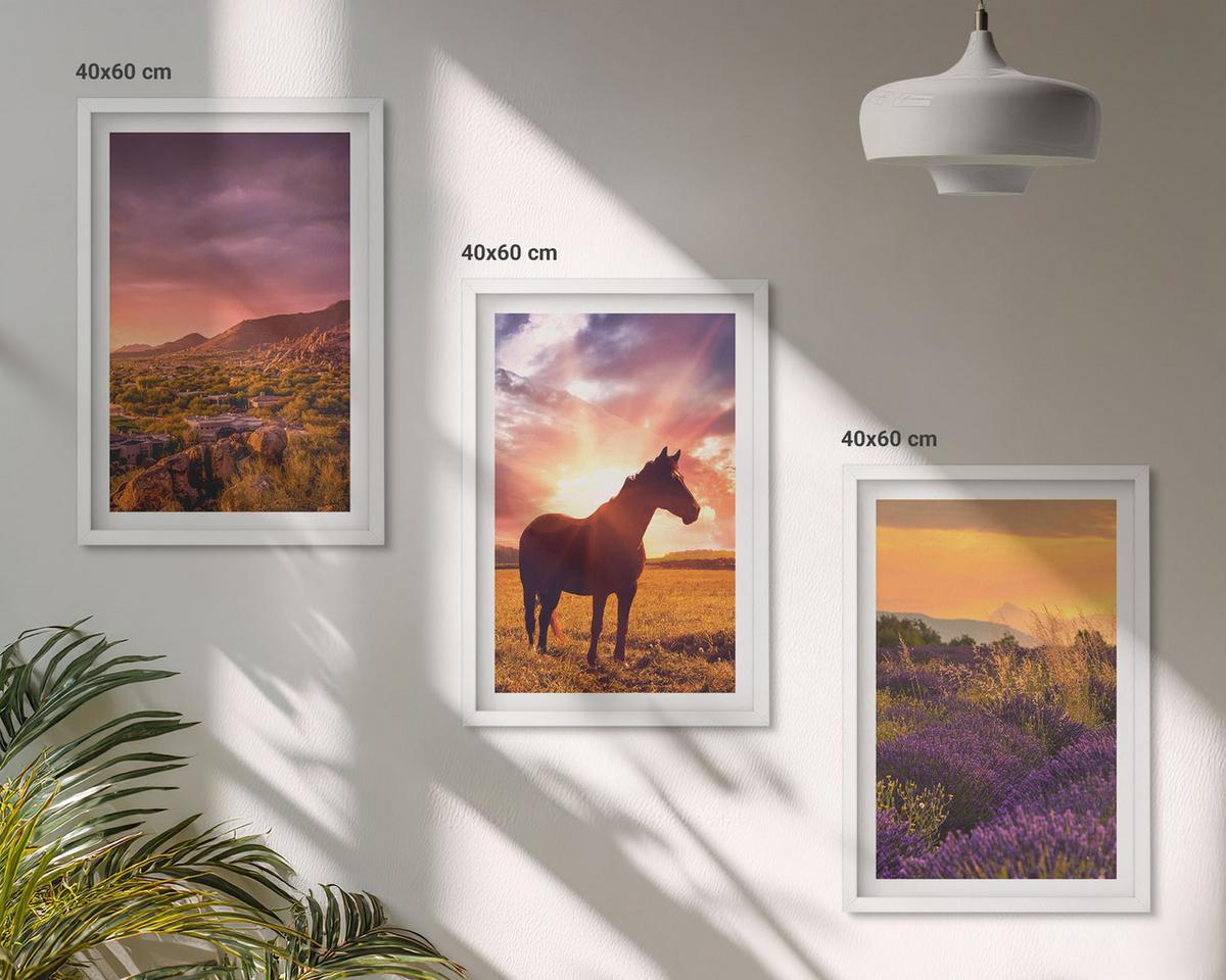 BILDER SET 3er Set - 40x60 cm Weißer Rahmen - Berglandschaft mit einem Pferd - Weiß, Kunststoff (40/60cm) - TULUP