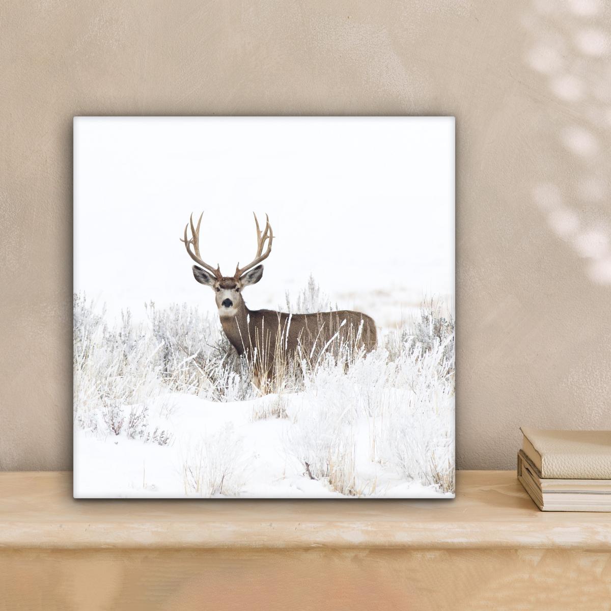 LEINWANDBILD Hirsche - Winter - Schnee - Tiere - Jahreszeiten - Weiß Deko Wohnzimmer 20x20 cm - Hellbraun, Textil (20/20cm) - MuchoWow