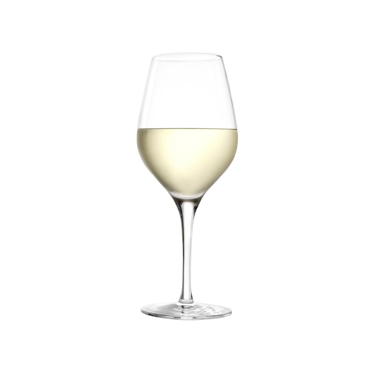WEISSWEINKELCHE Exquisit transparent 350 ml 6er Set - Transparent, Glas (0.35L) - Stölzle Lausitz