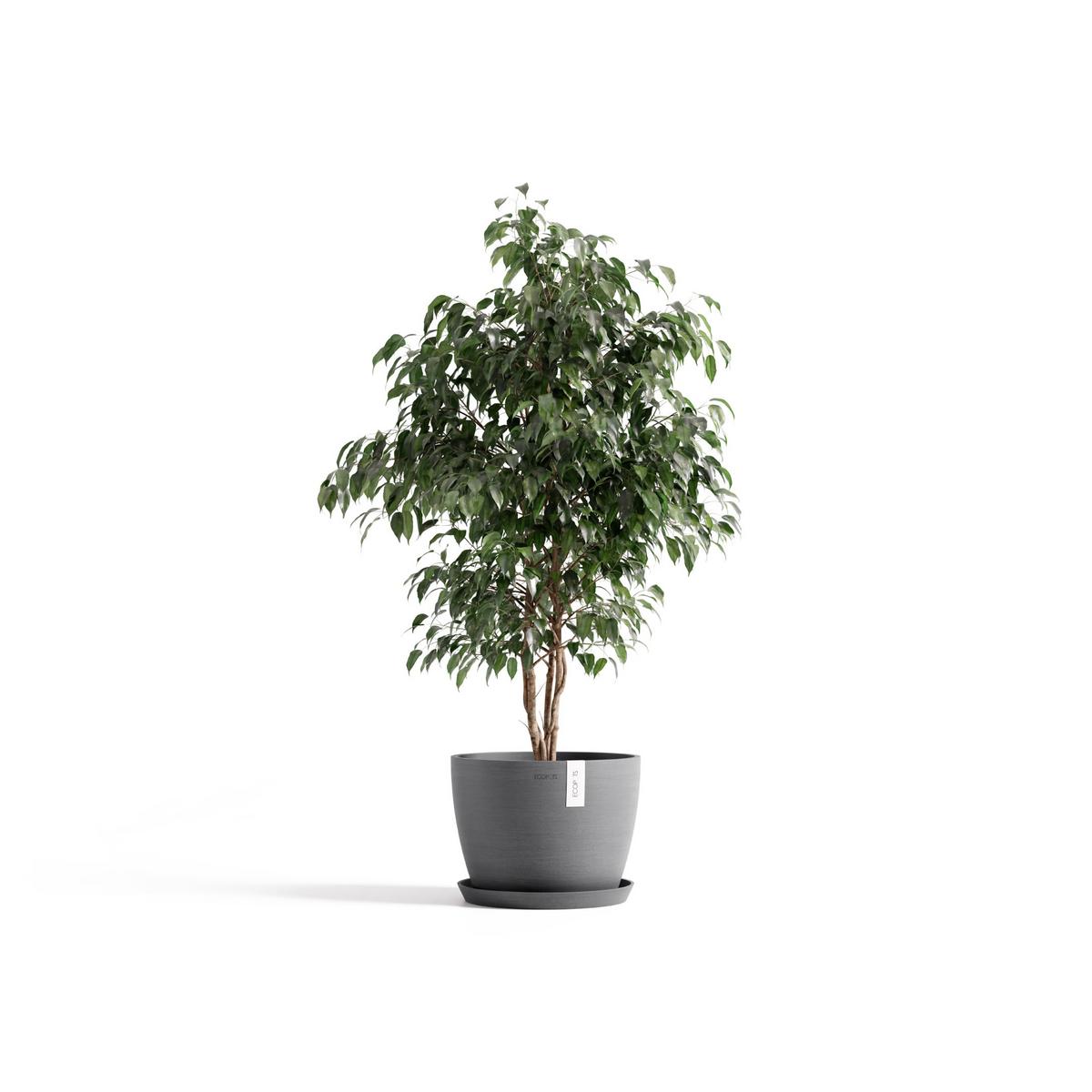 BLUMENTOPF Stockholm Grau - Grau, Kunststoff (31/23.5cm) - Ecopots