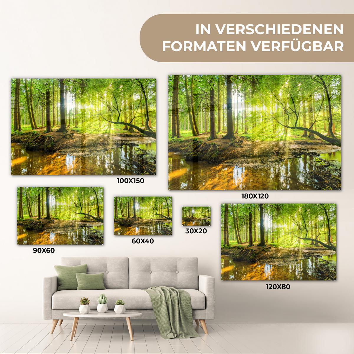 ACRYLGLASBILD Wald - Landschaft - Wasser - Bäume - Sonne - Grün - Natur Room Decor 90x60 cm - Grün, Glas (90/60cm) - MuchoWow