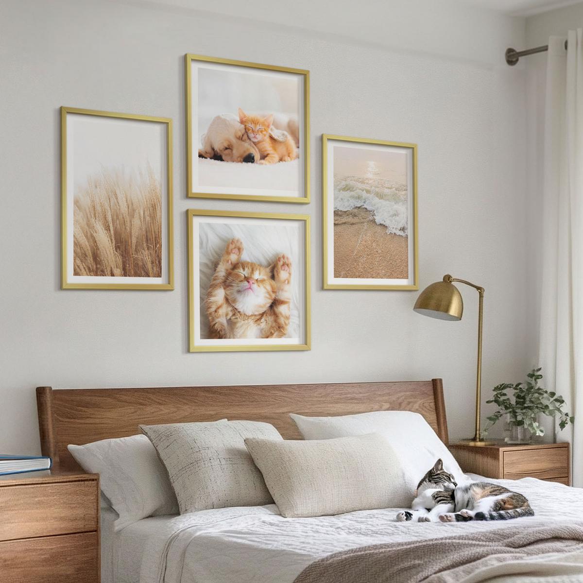 BILDER SET 4er Set - 50x50 cm & 40x60 cm Goldrahmen - Niedliche Tiere, Katzen, Hunde, Strand - Goldfarben, Kunststoff (50/50cm) - TULUP