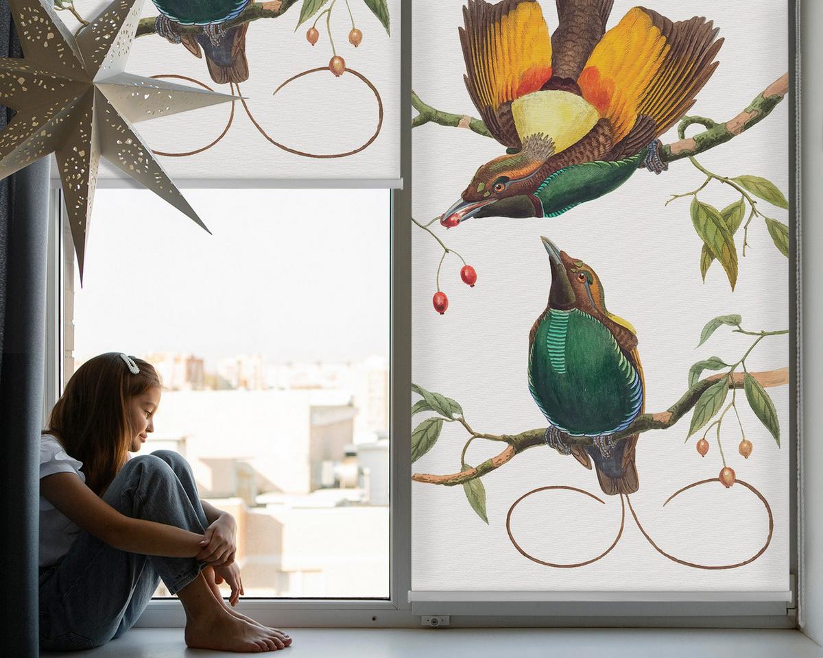 INNENROLLO - Fensterrollo - Rollo - 140x140 cm - Vögel auf einem Ast - Grau, Kunststoff (140/140/0.5cm) - TULUP