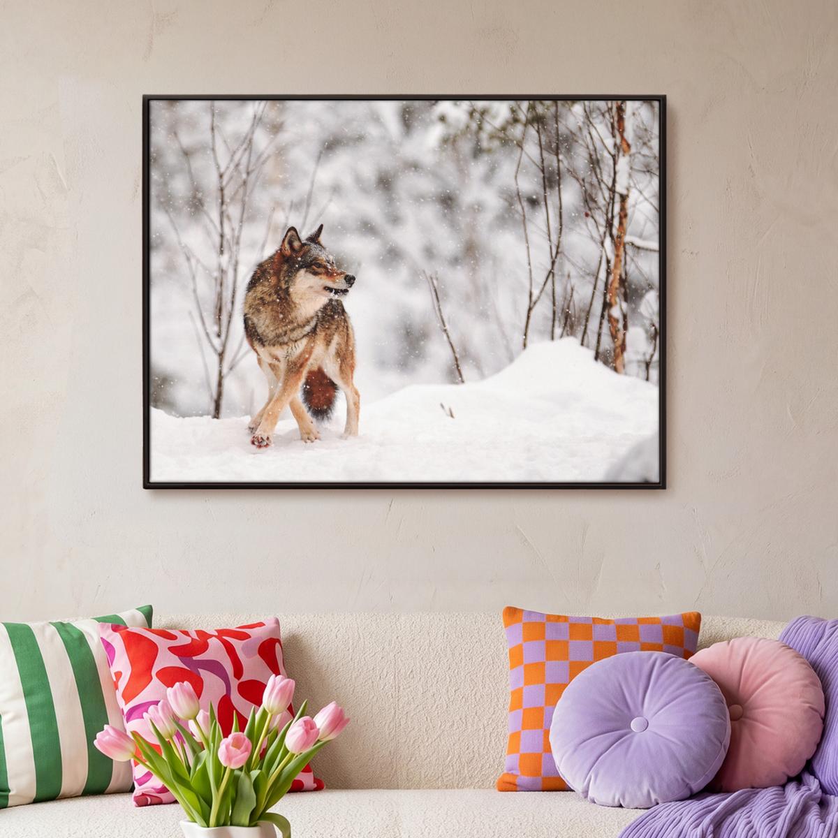 LEINWAND Bilder mit Rahmen - Wolf - Winter - Schnee - Natur - Tiere - 100x70 - Haselnussfarben, Textil (100/70cm) - MuchoWow