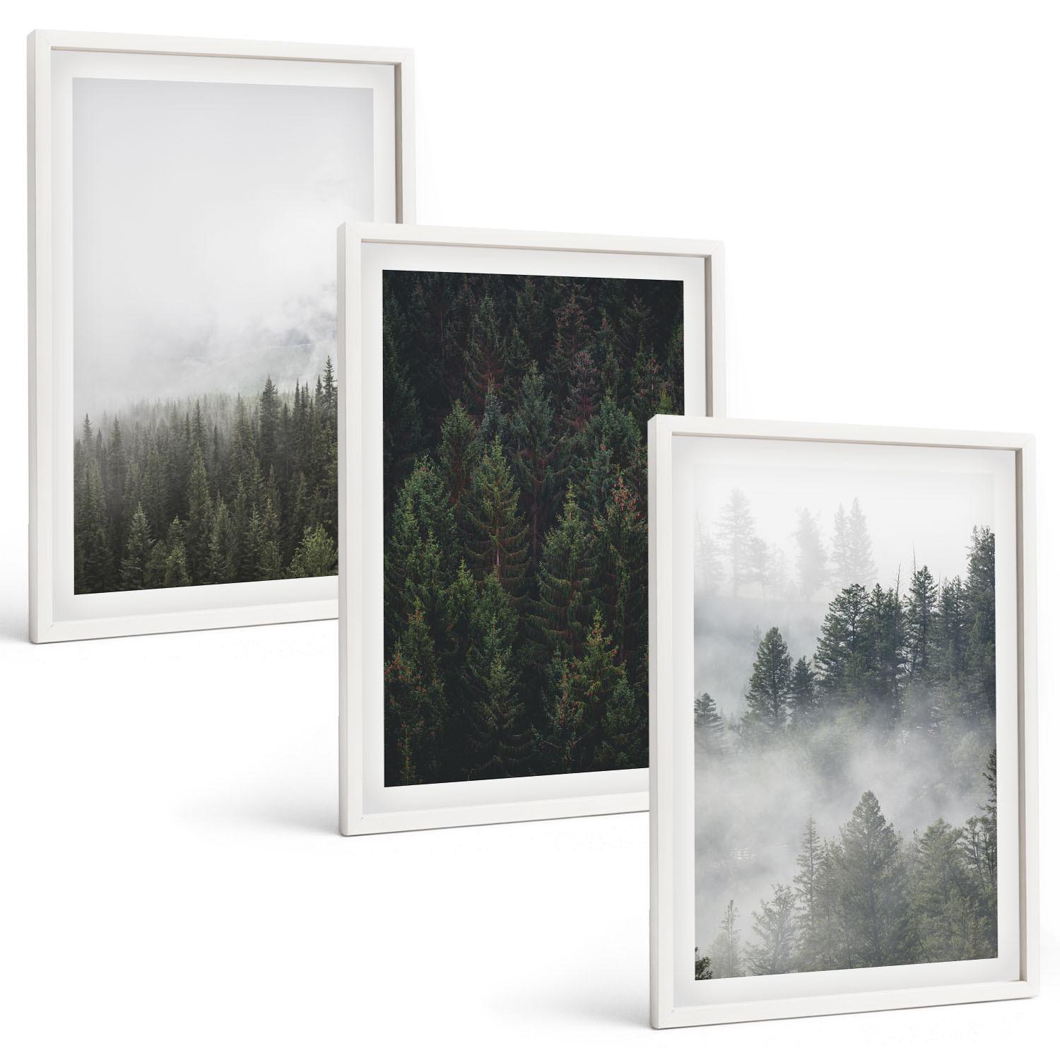 BILDER SET 3er Set - 40x60 cm Weißer Rahmen - Grüne Wälder Nebel Natur - Weiß, Kunststoff (40/60cm) - TULUP
