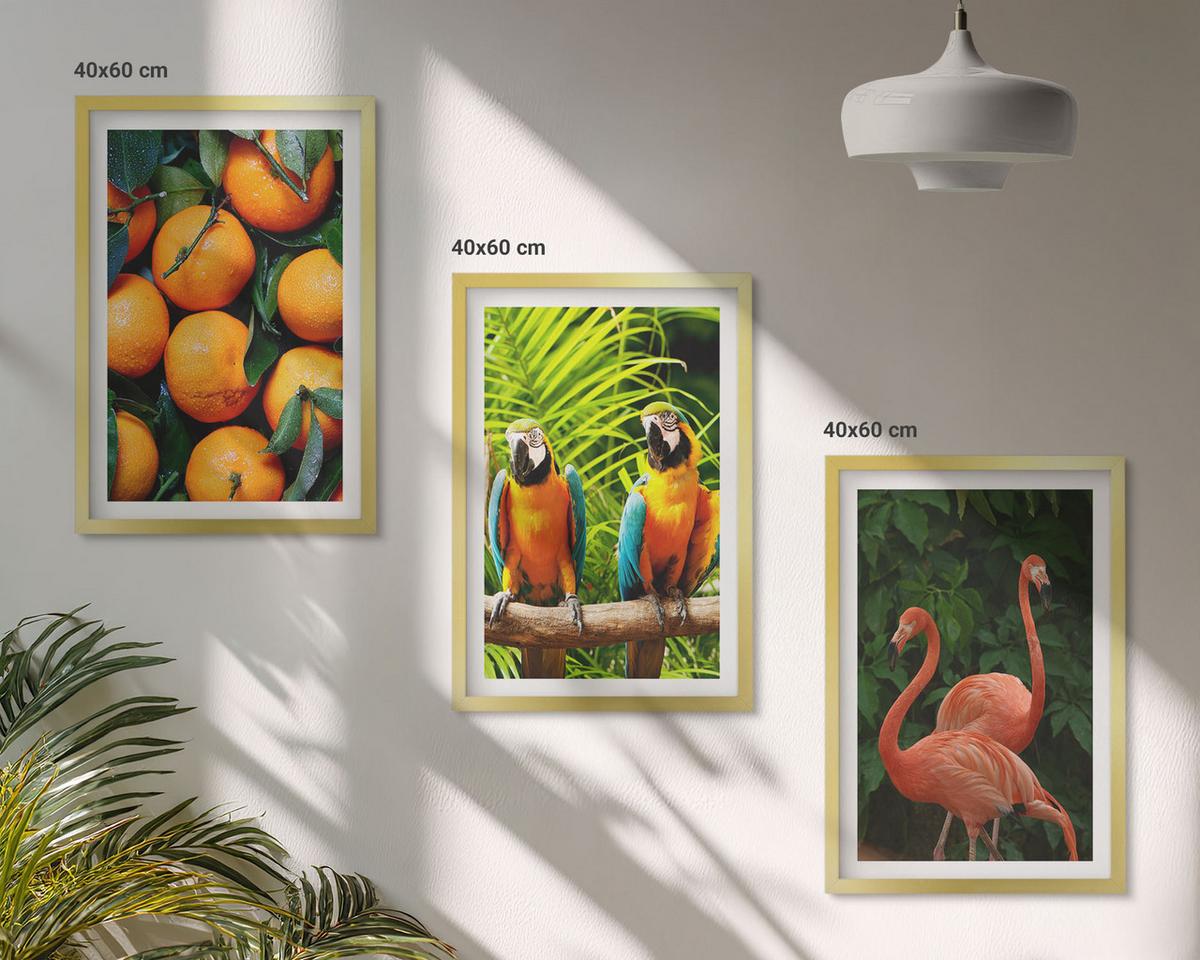 BILDER SET 3er Set - 40x60 cm Goldrahmen - Fruchtige Akzente in den Tropen - Goldfarben, Kunststoff (40/60cm) - TULUP