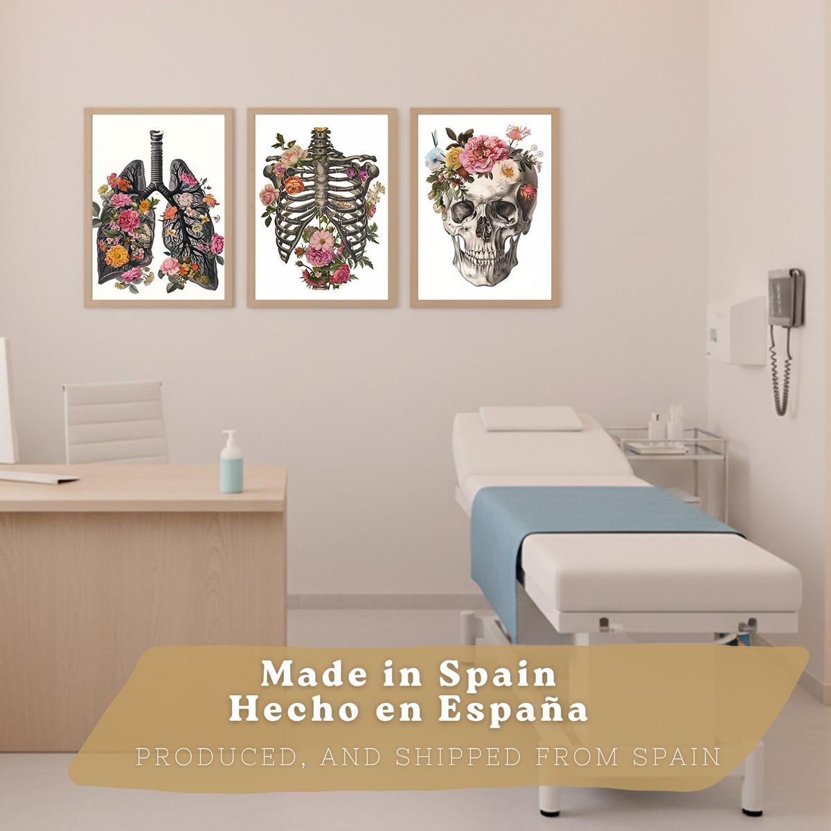 POSTER Set aus 3 Anatomie Mensch Drucke und mit Lungen Luftröhre Bronchien Rippen Wirbelsäule und Schädel Modernes Florales Leichter Holzrahmen A4 - Beige, Papier (21/29.7/3cm) - Nacnic