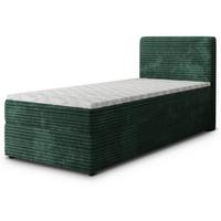 BOXBETT PISA 100 100x200 cm mit Matratze und Topper, H2+H3 - Grün - Grün, Holz (100/200cm) - MASSENO