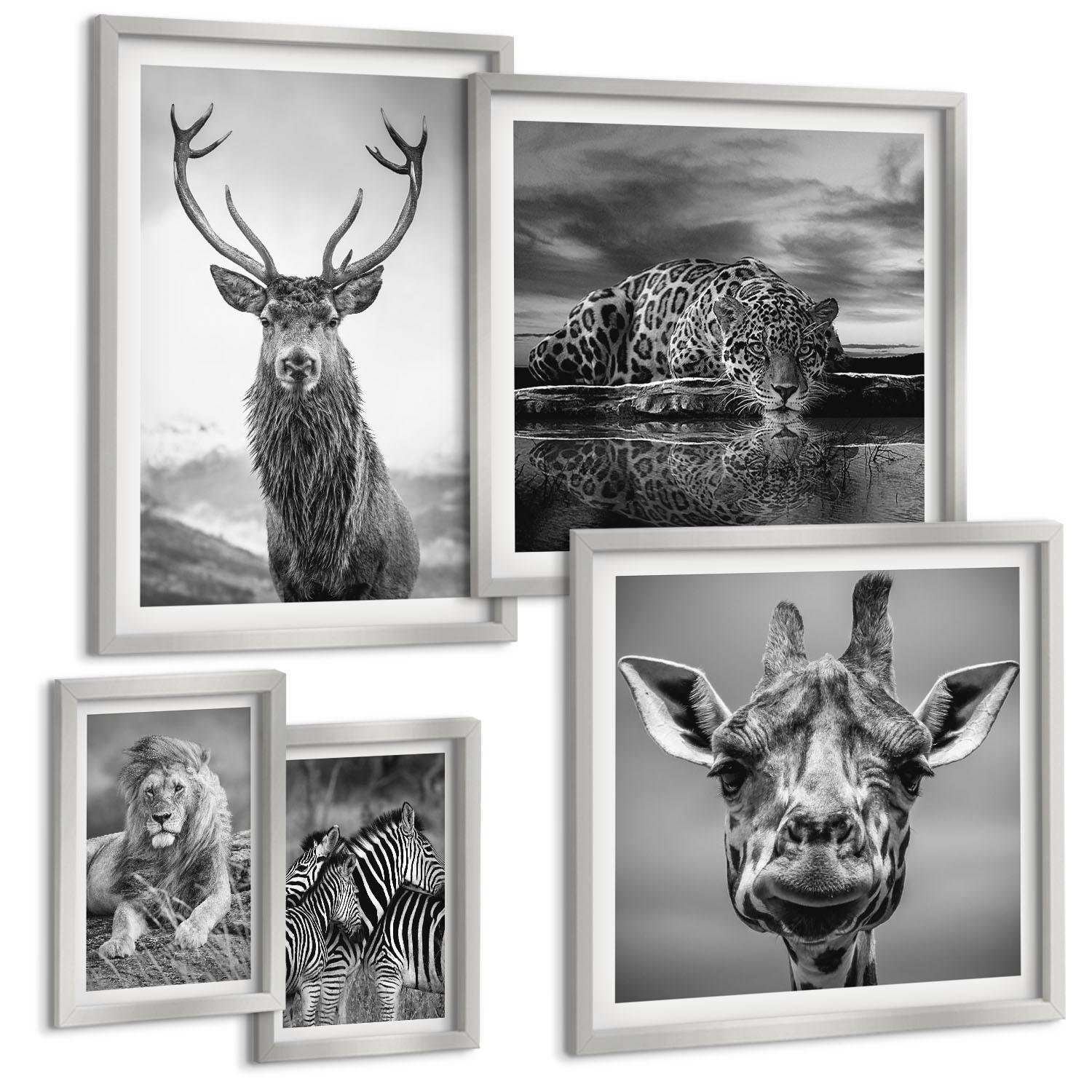 BILDER SET 5er Set - 50x50 cm & 20x30 cm & 40x60 cm Silberner Rahmen - Wildtiere Löwe Jaguar Giraffe Zebras - Silberfarben, Kunststoff (40/60cm) - TULUP