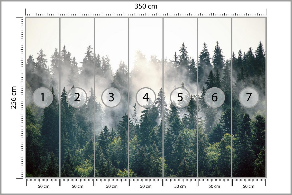 FOTOTAPETE für Wohnzimmer Nebeliger Nadelwald Berg Mystik Bäume 350x256 - Weiß/Grün, Papier (350/256cm) - Muralo