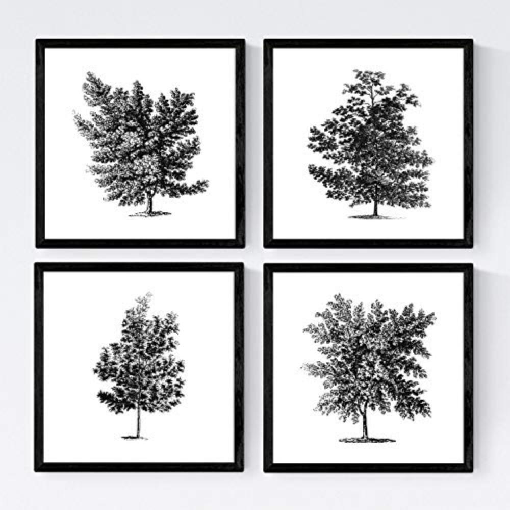 POSTER Set mit 4 Blättern der Laubbäume weiß 20x20cm Schwarzer Rahmen - Schwarz, Papier (20/3cm) - Nacnic