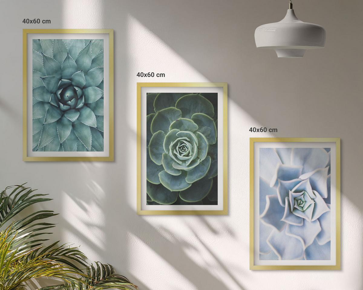 BILDER SET 3er Set - 40x60 cm Goldrahmen - Sukkulente Pflanzen grün türkis - Goldfarben, Kunststoff (40/60cm) - TULUP
