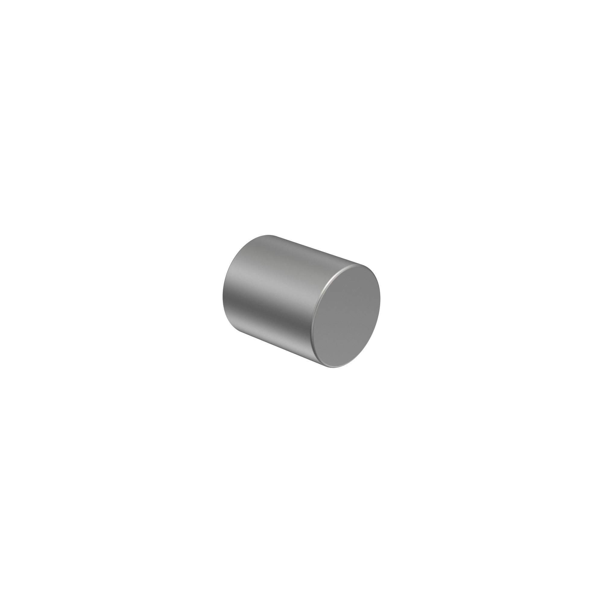 ENDSTÜCKE FÜR GARDINENSTANGEN / TELESKOPSTANGEN Livo 16/13 mm Ø Silbergrau, Packung 2 Stück - Silberfarben/Alufarben, Kunststoff (2/1.8/1.8cm) - INTERDECO
