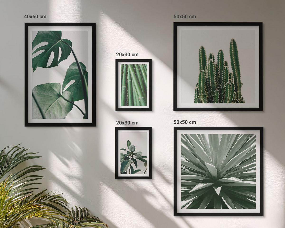BILDER SET 5er Set - 50x50 cm & 20x30 cm & 40x60 cm Schwarzer Rahmen - Bambusblätter - Schwarz, Kunststoff (40/60cm) - TULUP