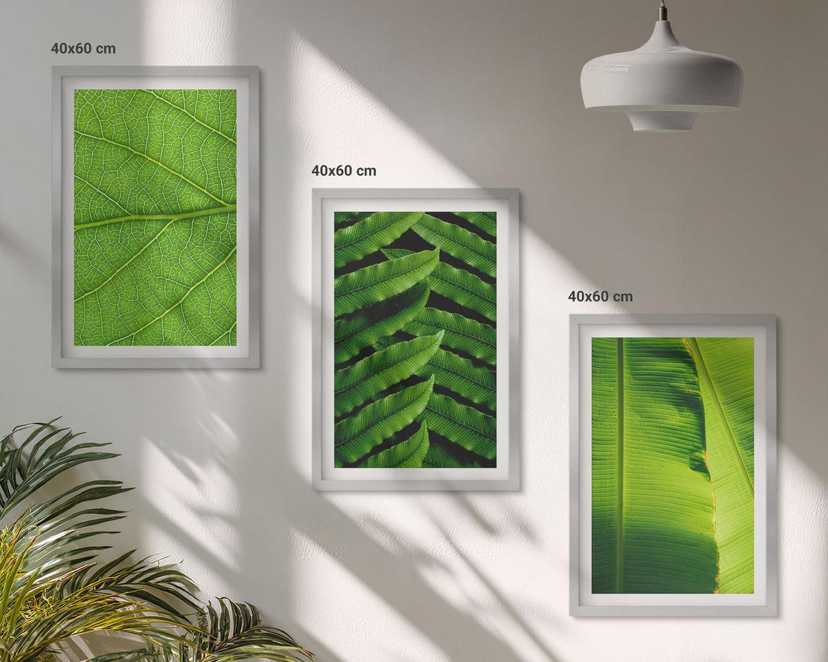 BILDER SET 3er Set - 40x60 cm Silberner Rahmen - Makrofotografie von tropischen Blättern - Silberfarben, Kunststoff (40/60cm) - TULUP