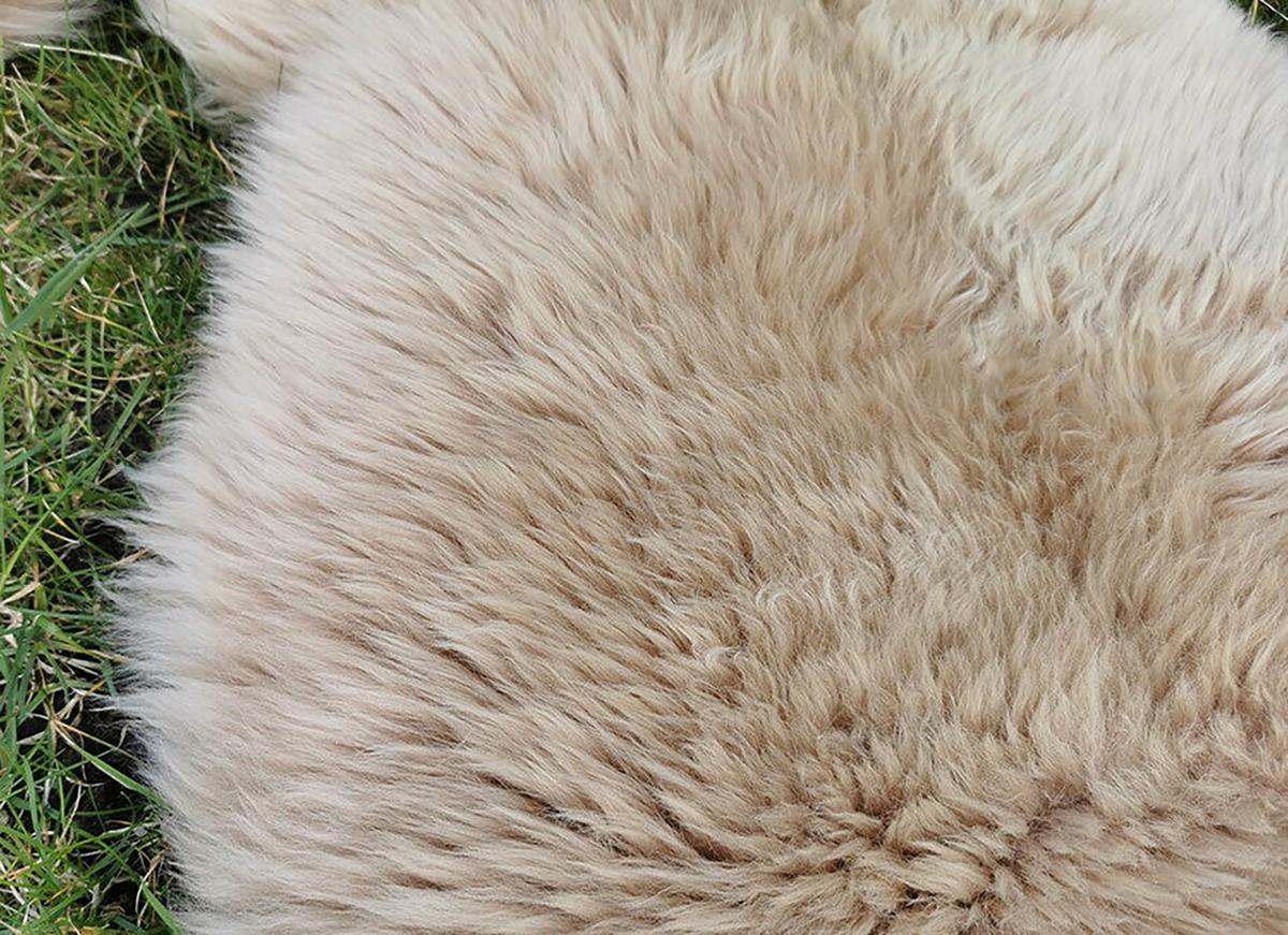 SCHAFFELL Natur Lammfell Weich Flauschig Wohnteppich, Cappuccino, ca. 130 cm - Cappuccino, Fell (70/130cm) - Provellus