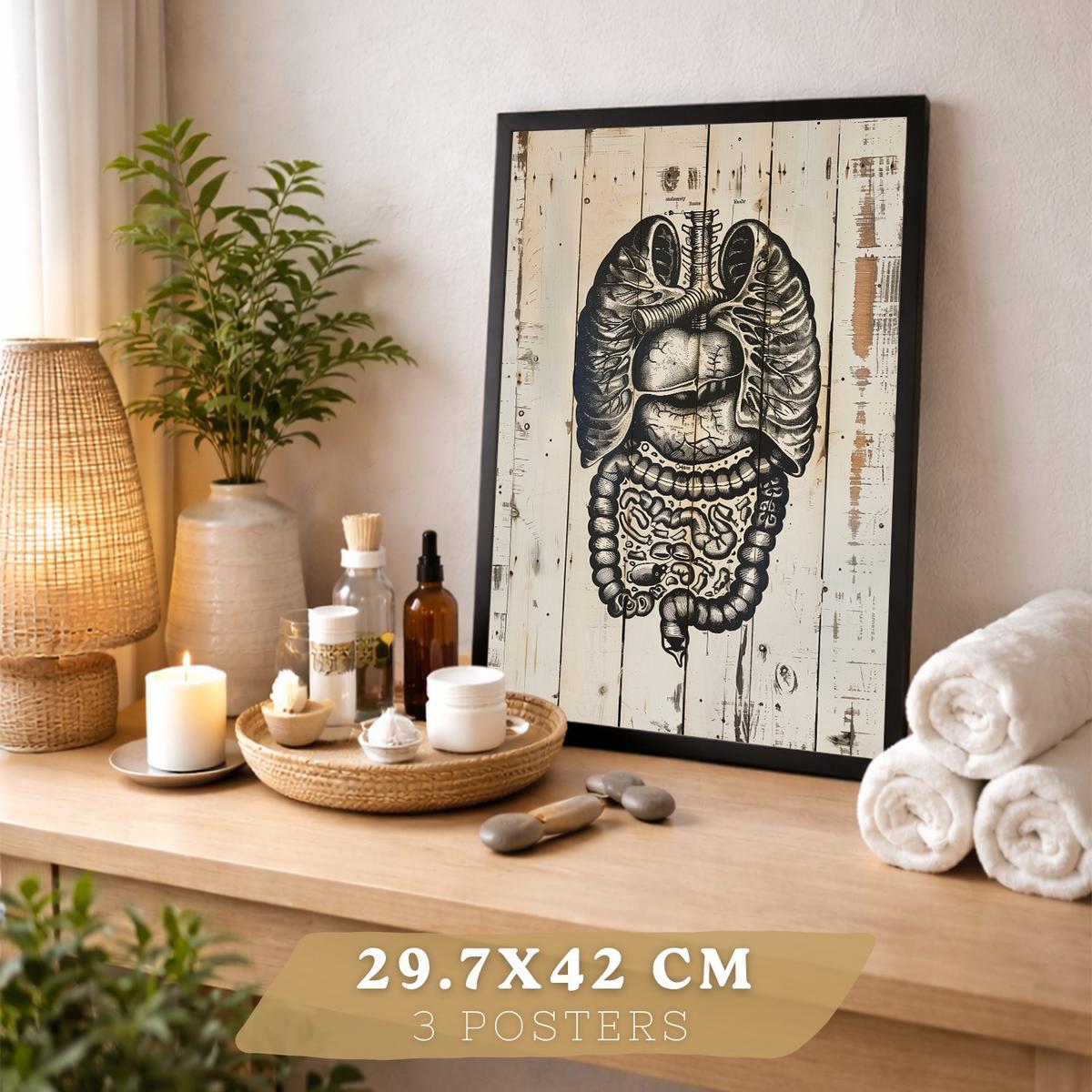 POSTER Set aus 3 Anatomie Mensch Drucke und Wandbilder mit Lungen Darm und Herz Rustikaler Stil Medizinische Wanddekoration Größe Schwarzer Rahmen A3 - Schwarz, Papier (29.7/42/3cm) - Nacnic