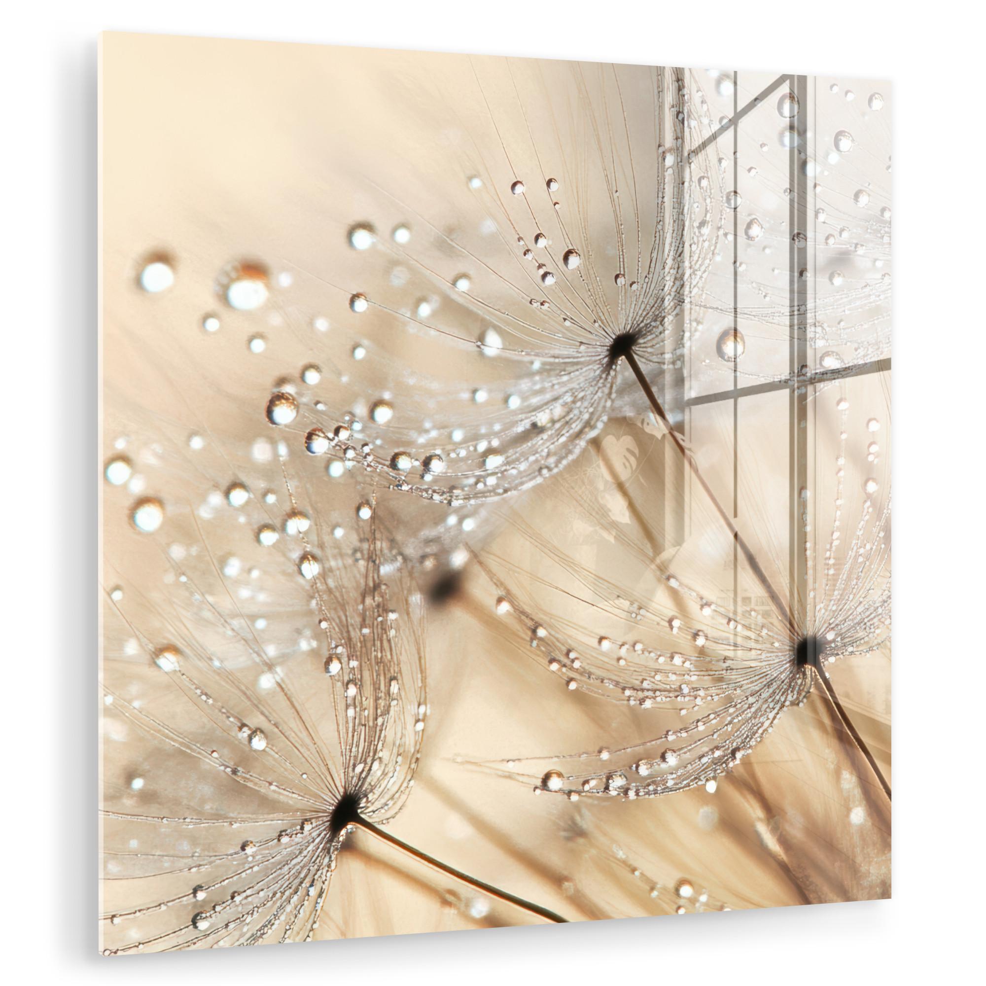 ACRYLGLASBILD Löwenzahn - Abstrakt - Natur - Beige 90x90 cm - Braun, Glas (90/90cm) - MuchoWow
