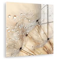 ACRYLGLASBILD Löwenzahn - Abstrakt - Natur - Beige 90x90 cm - Braun, Glas (90/90cm) - MuchoWow