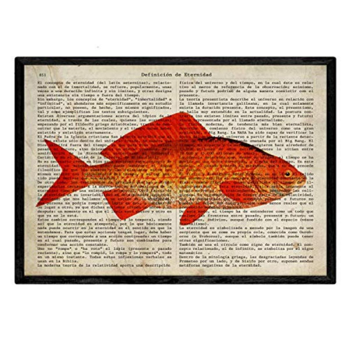 POSTER Set mit 4 Enzyklopädie mit Fische in verschiedenen Farben A4 Schwarzer Rahmen - Schwarz, Papier (29.7/3cm) - Nacnic