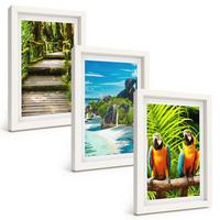BILDER SET 3er Set - 20x30 cm Weißer Rahmen - Tropischer Wald Papageienwasserfall - Weiß, Kunststoff (20/30cm) - TULUP