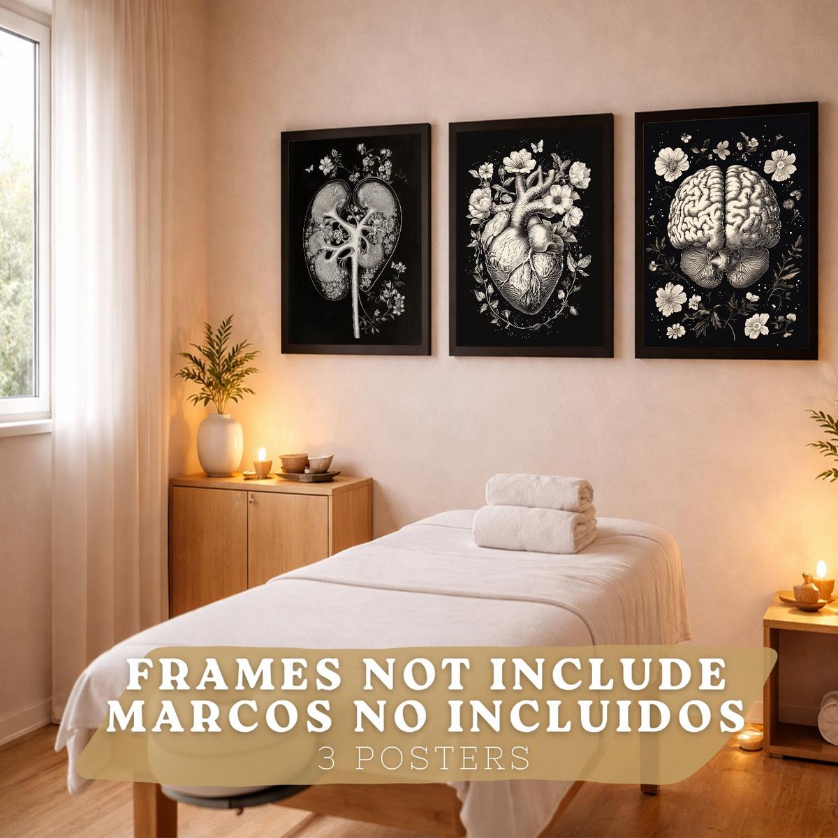 POSTER Set aus 3 Anatomie Mensch Drucke und Wandbilder mit Niere Harnsystem Gehirn und Herz Klassisches Schwarz Weiß Design Größe Rahmenlos A4 - Klar, Papier (21/29.7/3cm) - Nacnic
