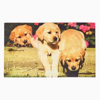 FUSSMATTE Hundewelpen, Gummi 45/76 cm - Multicolor, Naturmaterialien (46/76cm) - Homescapes