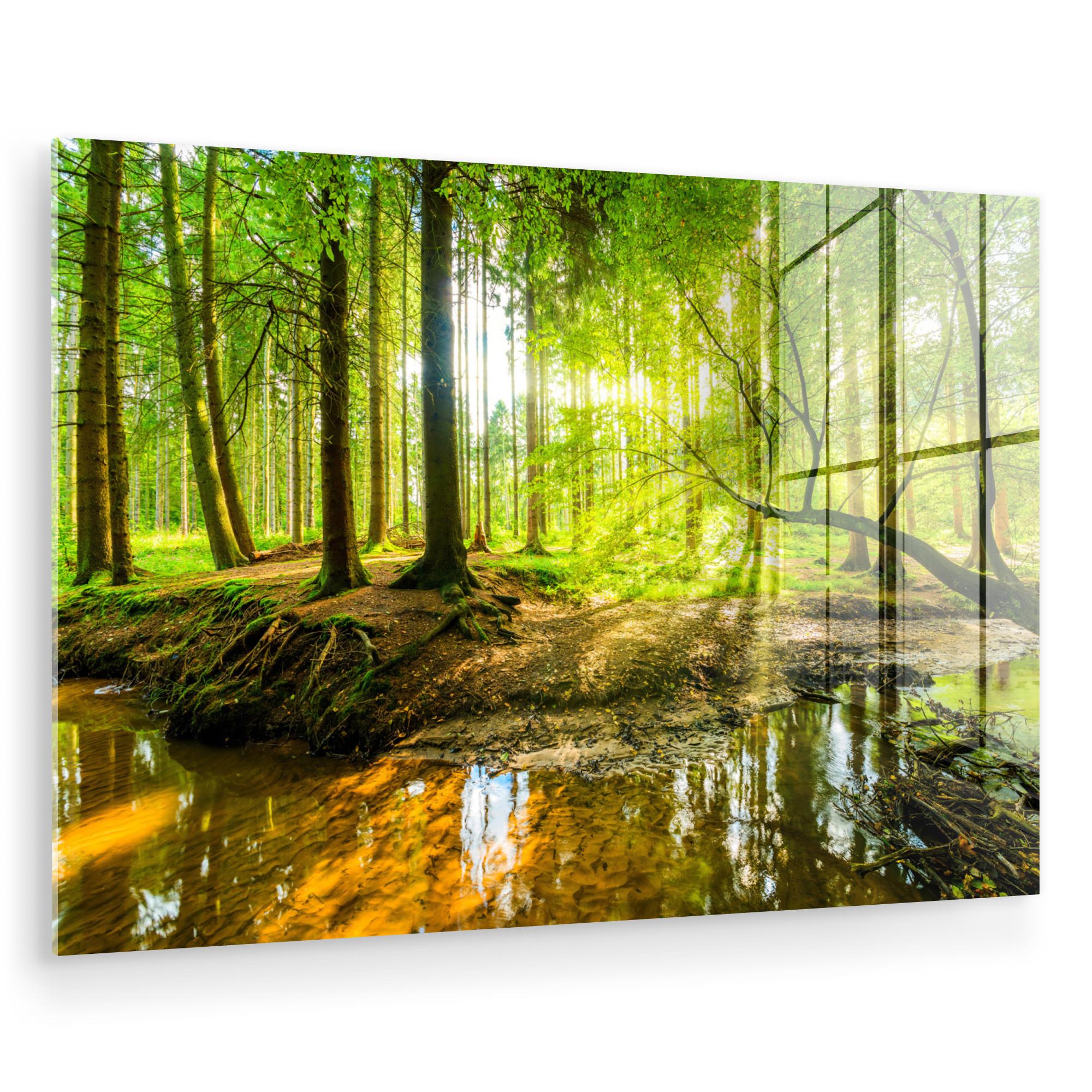 ACRYLGLASBILD Wald - Landschaft - Wasser - Bäume - Sonne - Grün - Natur Room Decor 90x60 cm - Grün, Glas (90/60cm) - MuchoWow