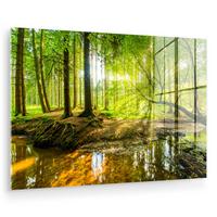 ACRYLGLASBILD Wald - Landschaft - Wasser - Bäume - Sonne - Grün - Natur Room Decor 90x60 cm - Grün, Glas (90/60cm) - MuchoWow