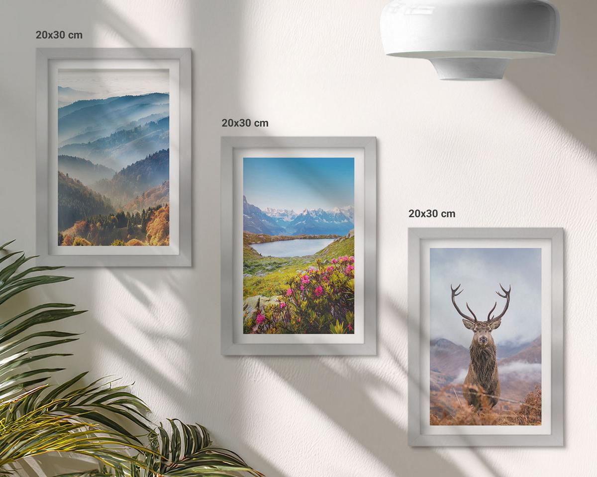 BILDER SET 3er Set - 20x30 cm Silberner Rahmen - Natur des Bergseehirsches - Silberfarben, Kunststoff (20/30cm) - TULUP