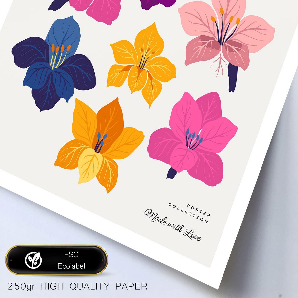 POSTER Set Mit 6 Blumen Chromatische Skala A3 & A4 Rahmenlos - Klar, Papier (29/3cm) - Nacnic